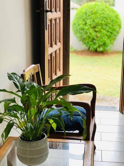 Danville Forest Guest House & Apartments Durban Luaran gambar
